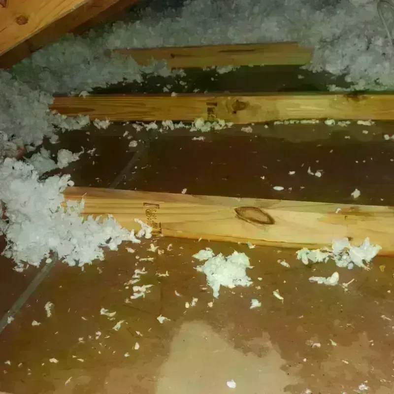 Attic Water Damage in Lake Wissota, WI