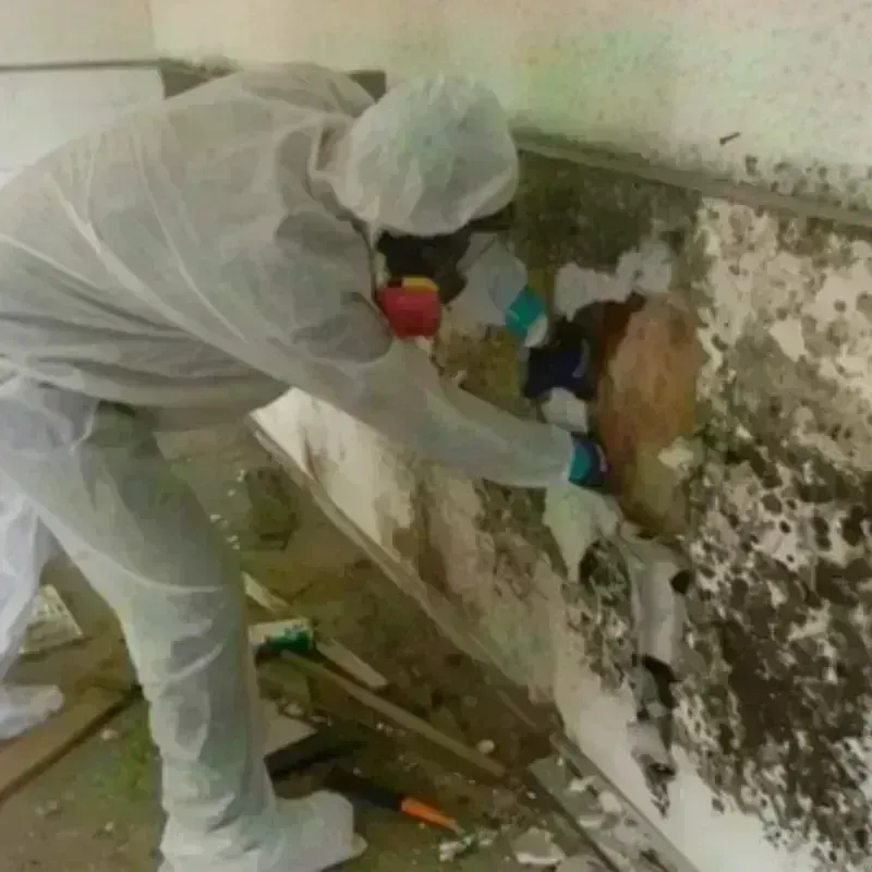 Mold Remediation and Removal in Lake Wissota, WI